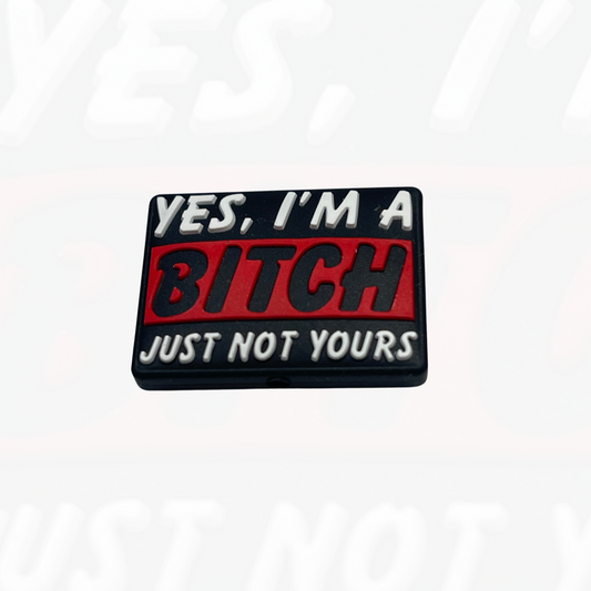 Yes, I’m A Bitch…Just Not Yours